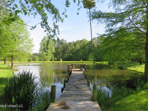 1360 Spring Hill Rd, Raymond, MS 39154 photo 20