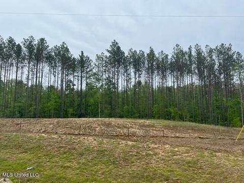 Lost Oak Lane, Brandon, MS 39047 photo 2