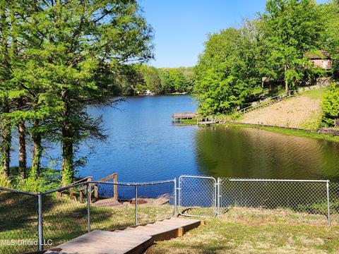 2414 Itasca Dr, Nesbit, MS 38651 photo 37