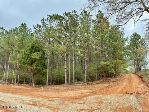 Nhn Fire Fox, Poplarville, MS 39470