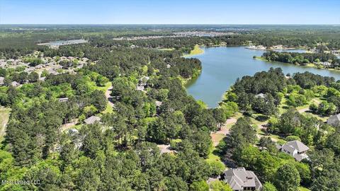 200 Daniel Ct, Madison, MS 39110 photo 71