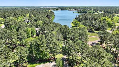 200 Daniel Ct, Madison, MS 39110 photo 80