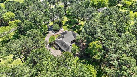 200 Daniel Ct, Madison, MS 39110 photo 74
