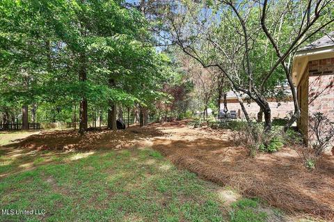 200 Daniel Ct, Madison, MS 39110 photo 50