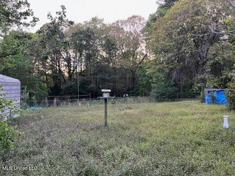 125 Bones Rd, Florence, MS 39073 photo 31