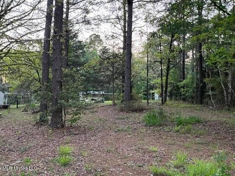 125 Bones Rd, Florence, MS 39073 photo 34