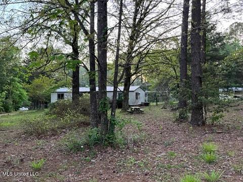 125 Bones Rd, Florence, MS 39073 photo 5