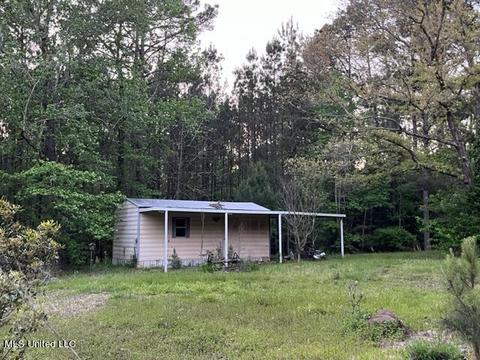 125 Bones Rd, Florence, MS 39073 photo 33