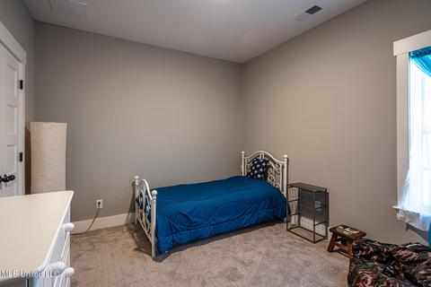 2181 Watson Vw E, Nesbit, MS 38651 photo 21