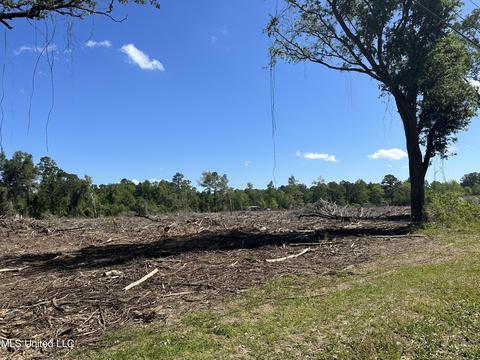 0 Davis Sawmill, Lucedale, MS 39452 photo 2