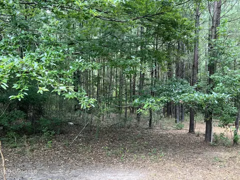 19348 Henry Harley Rd, Saucier, MS 39574 photo 20