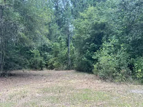 19348 Henry Harley Rd, Saucier, MS 39574 photo 21