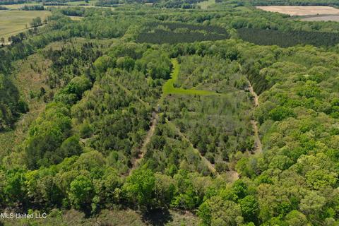 County Road 75, New Albany, MS 38652
