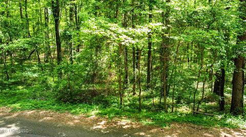 Trace Circle, Raymond, MS 39154 photo 2