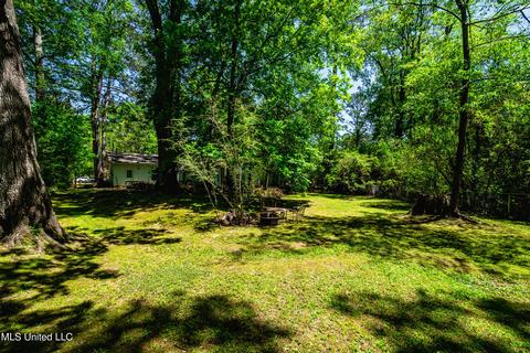 223 Chippewa Cir, Jackson, MS 39211 photo 45
