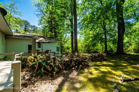 223 Chippewa Cir, Jackson, MS 39211 photo 43