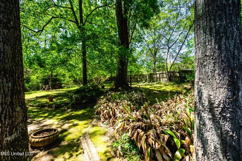 223 Chippewa Cir, Jackson, MS 39211 photo 42
