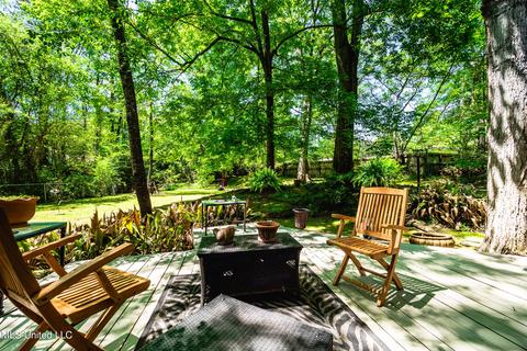 223 Chippewa Cir, Jackson, MS 39211 photo 40