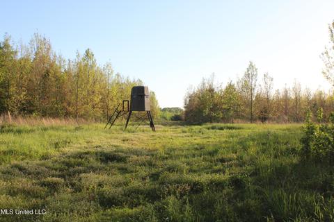Ratliff Rd Road, Flora, MS 39071 photo 2