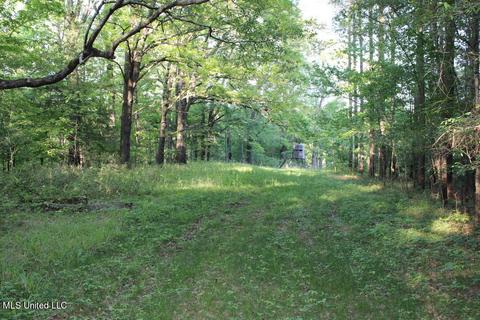 Ratliff Rd Road, Flora, MS 39071