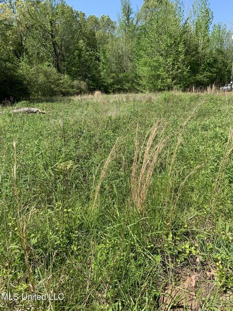 Dogwood Road, Byhalia, MS 38611
