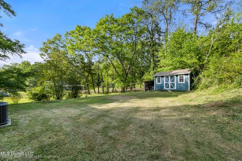 8910 Green Duck Dr, Hernando, MS 38632 photo 3