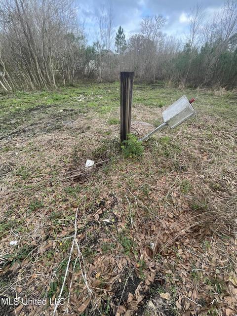 9905 Echo Glen Dr, Moss Point, MS 39562 photo 16