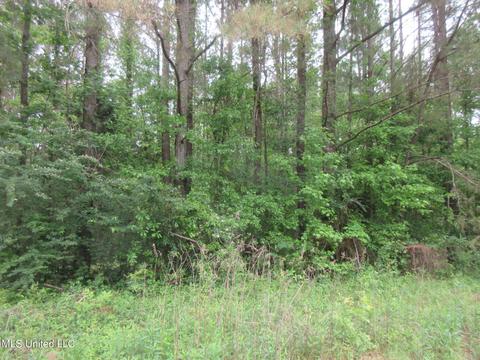 2902 Utah Rd, Lena, MS 39094