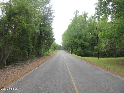 2902 Utah Rd, Lena, MS 39094 photo 7