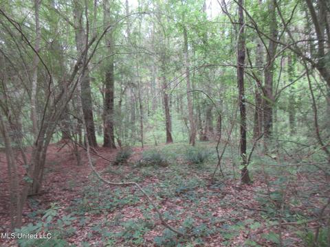 2902 Utah Rd, Lena, MS 39094 photo 3