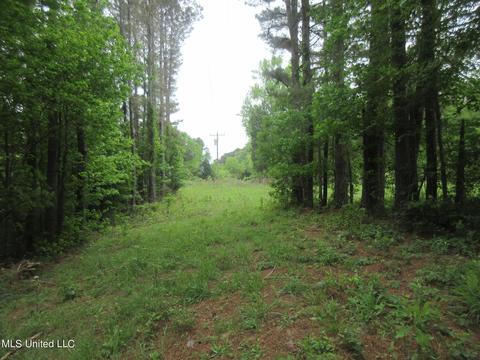 2902 Utah Rd, Lena, MS 39094 photo 6