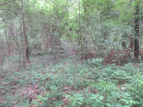 2902 Utah Rd, Lena, MS 39094 photo 2