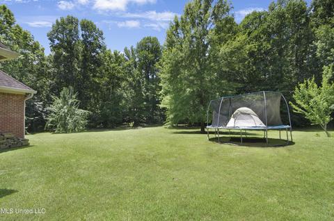 517 Parkway Cir, Brandon, MS 39042 photo 60