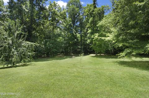 517 Parkway Cir, Brandon, MS 39042 photo 66