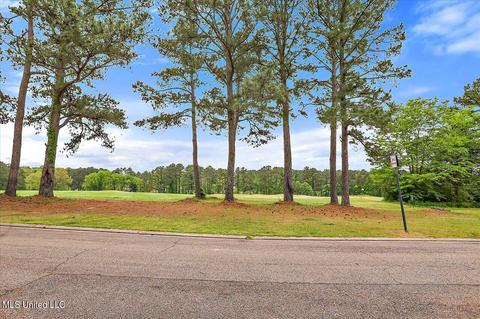 116 Whisper Ridge Dr, Madison, MS 39110 photo 4