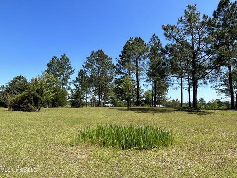 20 Breshears Rd, Lumberton, MS 39455 photo 33