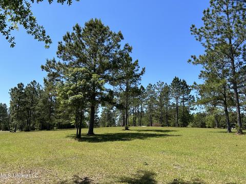 20 Breshears Rd, Lumberton, MS 39455 photo 34