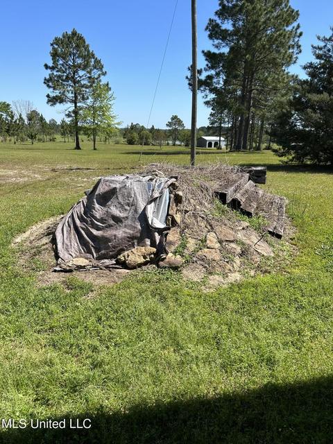 20 Breshears Rd, Lumberton, MS 39455 photo 27