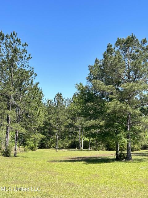 20 Breshears Rd, Lumberton, MS 39455 photo 30