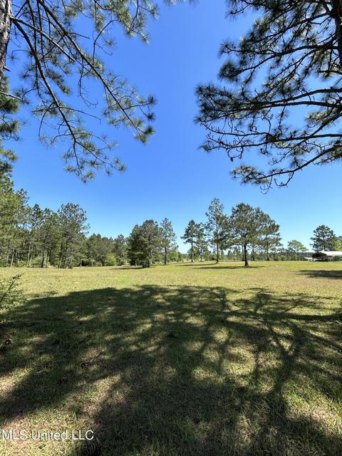20 Breshears Rd, Lumberton, MS 39455 photo 31