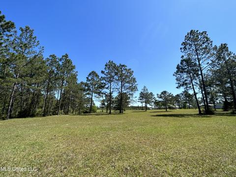 20 Breshears Rd, Lumberton, MS 39455 photo 32