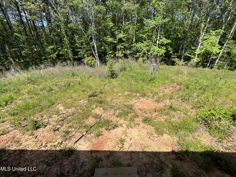449 Pine Hill Ln, Brandon, MS 39042 photo 14