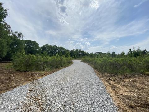 N Old Canton Road, Canton, MS 39046 photo 9