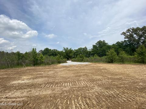 N Old Canton Road, Canton, MS 39046 photo 16