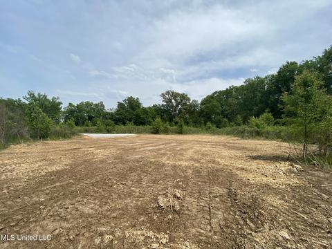 N Old Canton Road, Canton, MS 39046 photo 15