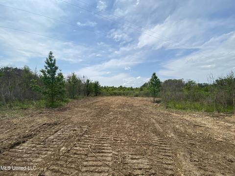 N Old Canton Road, Canton, MS 39046 photo 13
