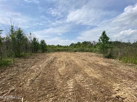 N Old Canton Road, Canton, MS 39046 photo 14