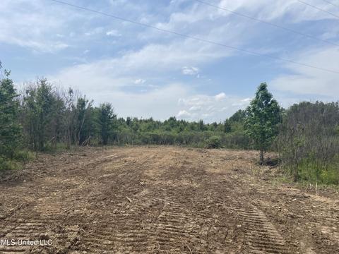 N Old Canton Road, Canton, MS 39046 photo 12