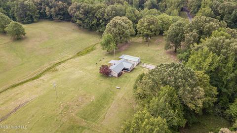 482 Purvis Rd, Flora, MS 39071 photo 28