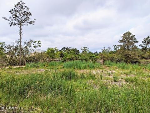 Nhn Whale Avenue, Bay Saint Louis, MS 39520